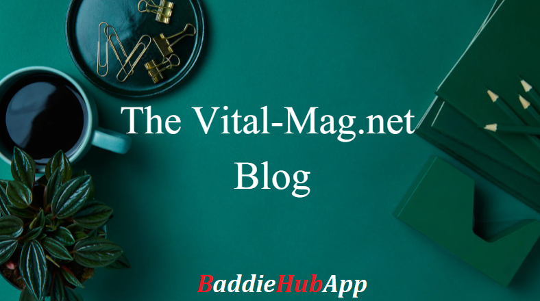 Baddiehubapp-Exploring the vital-mag.net blog Essential Advices and Guidance for Your Life -1