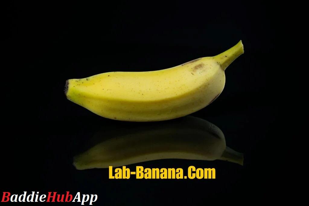 Baddiehubapp-Lab-Banana.com Business An Innovative Business Journey